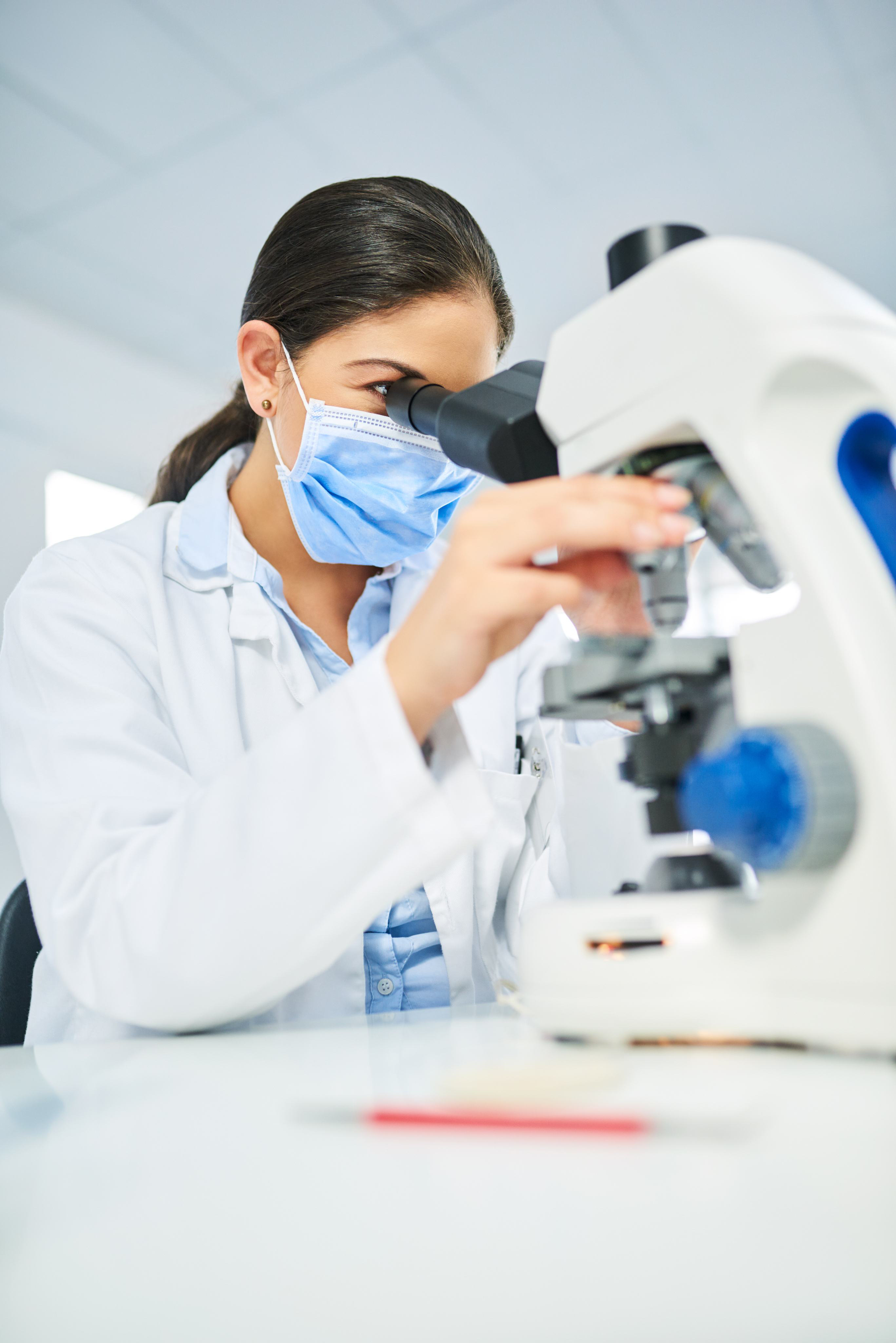 Laboratorio
